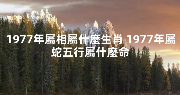 1977年屬相屬什麼生肖 1977年屬蛇五行屬什麼命